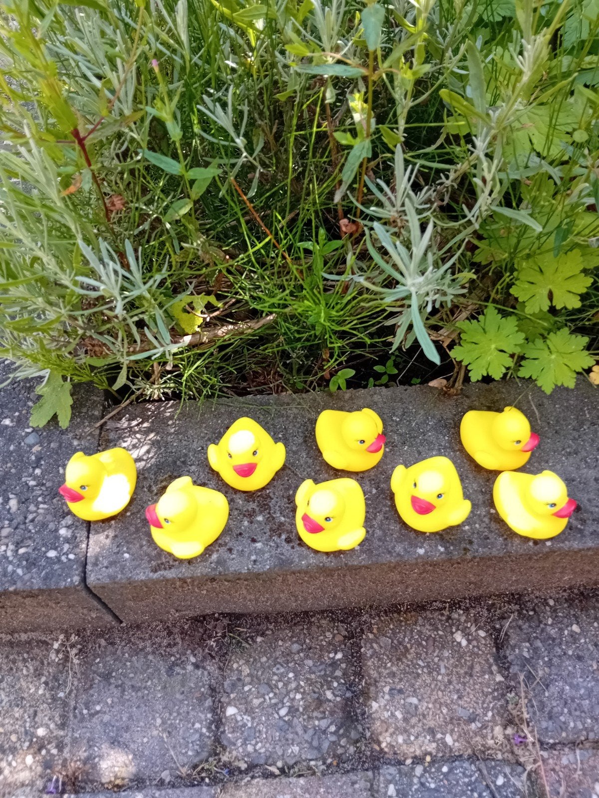 Leuke gele badeendjes voor in bad of zwembad, Kinderen en Baby's, Speelgoed | Badspeelgoed, Ophalen of Verzenden, Gebruikt, Badeend