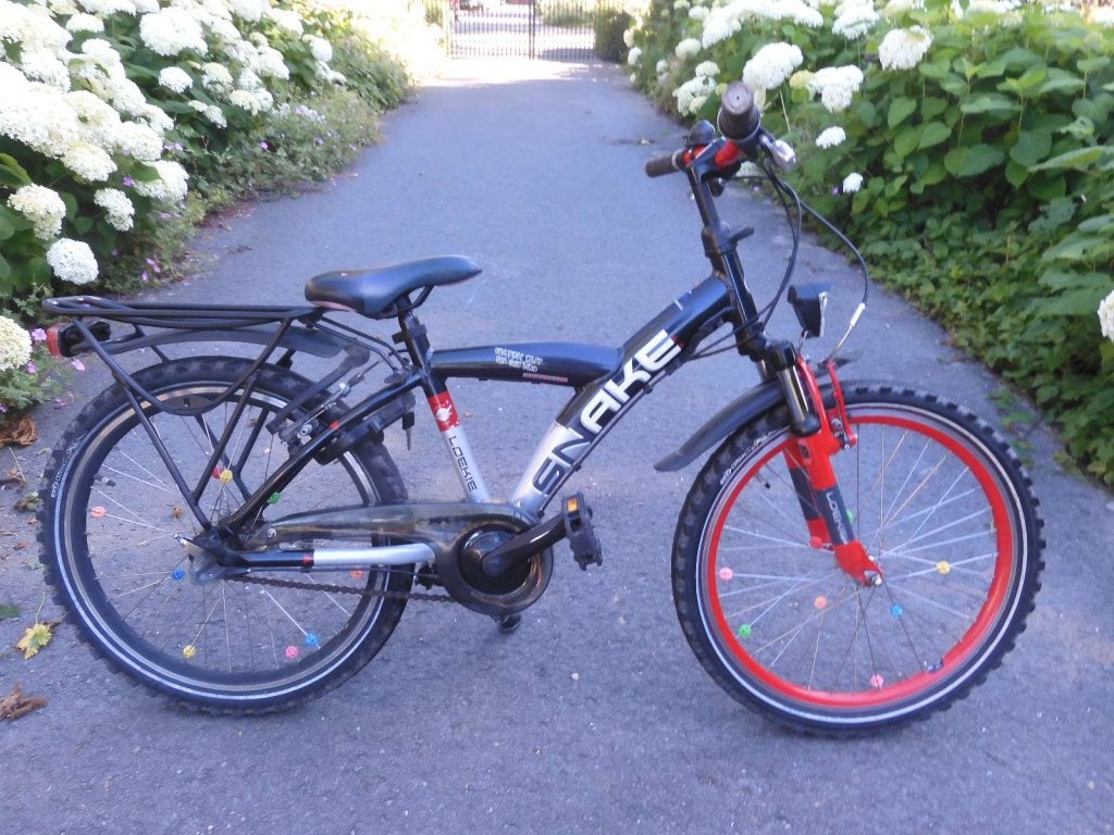 Stoere 22 inch Loekie Snake met 3 versnellingen in topstaat, Fietsen en Brommers, Fietsen | Jongens, Terugtraprem, 22 inch, Loekie