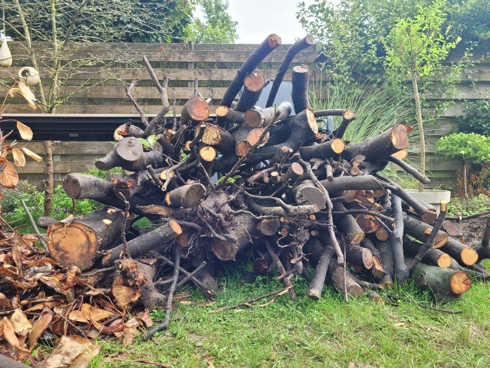 GRATIS haardhout/brandhout, Minder dan 3 m³, Ophalen, Overige houtsoorten, Stammen