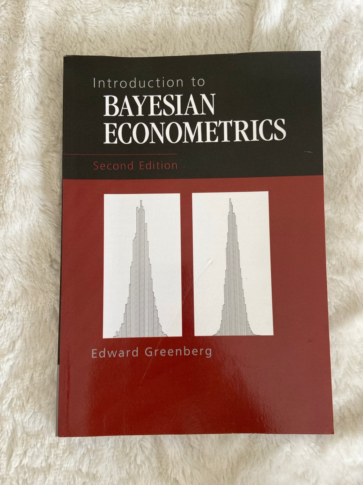 Introduction to Bayesian Econometrics - Edward Greenberg, Boeken, Studieboeken en Cursussen, Ophalen of Verzenden, Gamma, Zo goed als nieuw