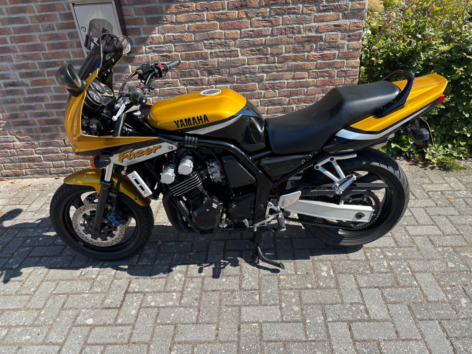 FZS 600, Particulier, Toermotor