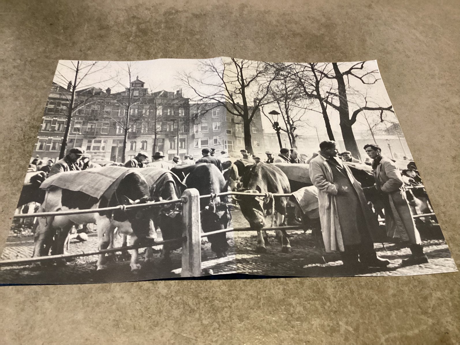 Rotterdam.       Veemarkt.        Knipsel, Verzamelen, Ophalen of Verzenden, Zuid-Holland