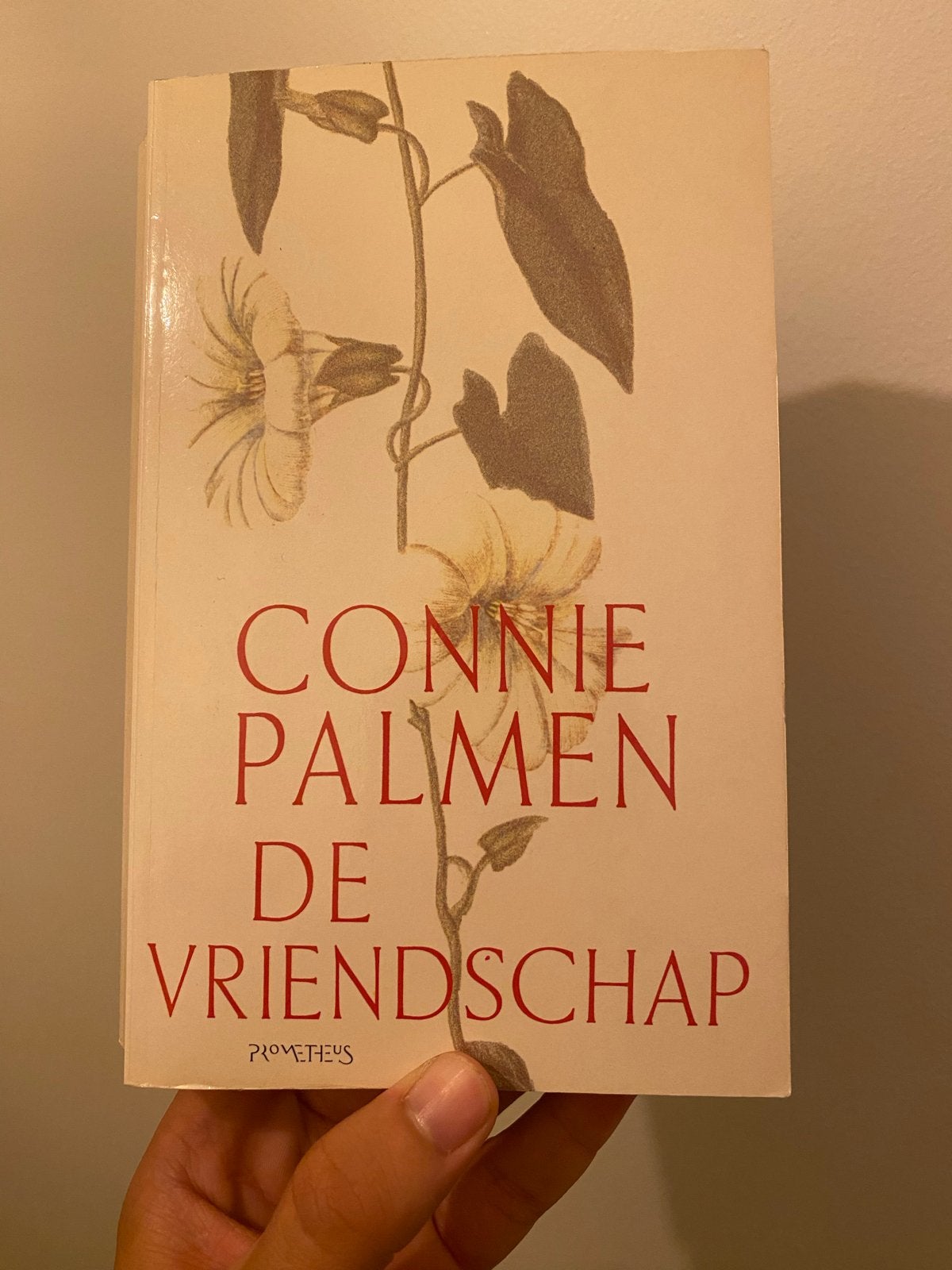 Connie Palmen - De Vriendschap, Ophalen of Verzenden, Gelezen, Nederland