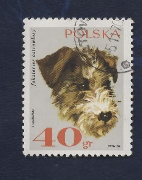 Fauna - Dieren - Honden - Polen - Fox Terrier - gebr, Postzegels en Munten, Verzenden, Gestempeld, Dier of Natuur