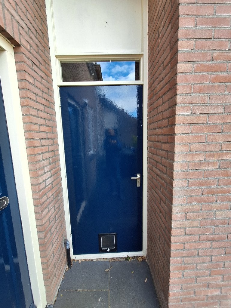 Buitendeur (nog 1 dag), Ophalen, Gebruikt, 80 tot 100 cm, Buitendeur