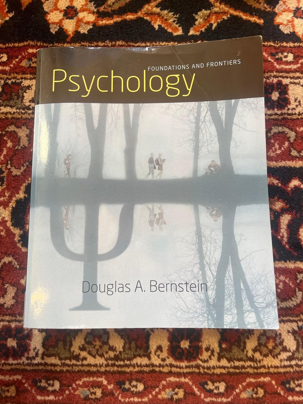 Psychology: Foundations and Frontiers - Douglas A. Bernstein, Boeken, Psychologie, Ophalen of Verzenden, Gelezen, Cognitieve psychologie