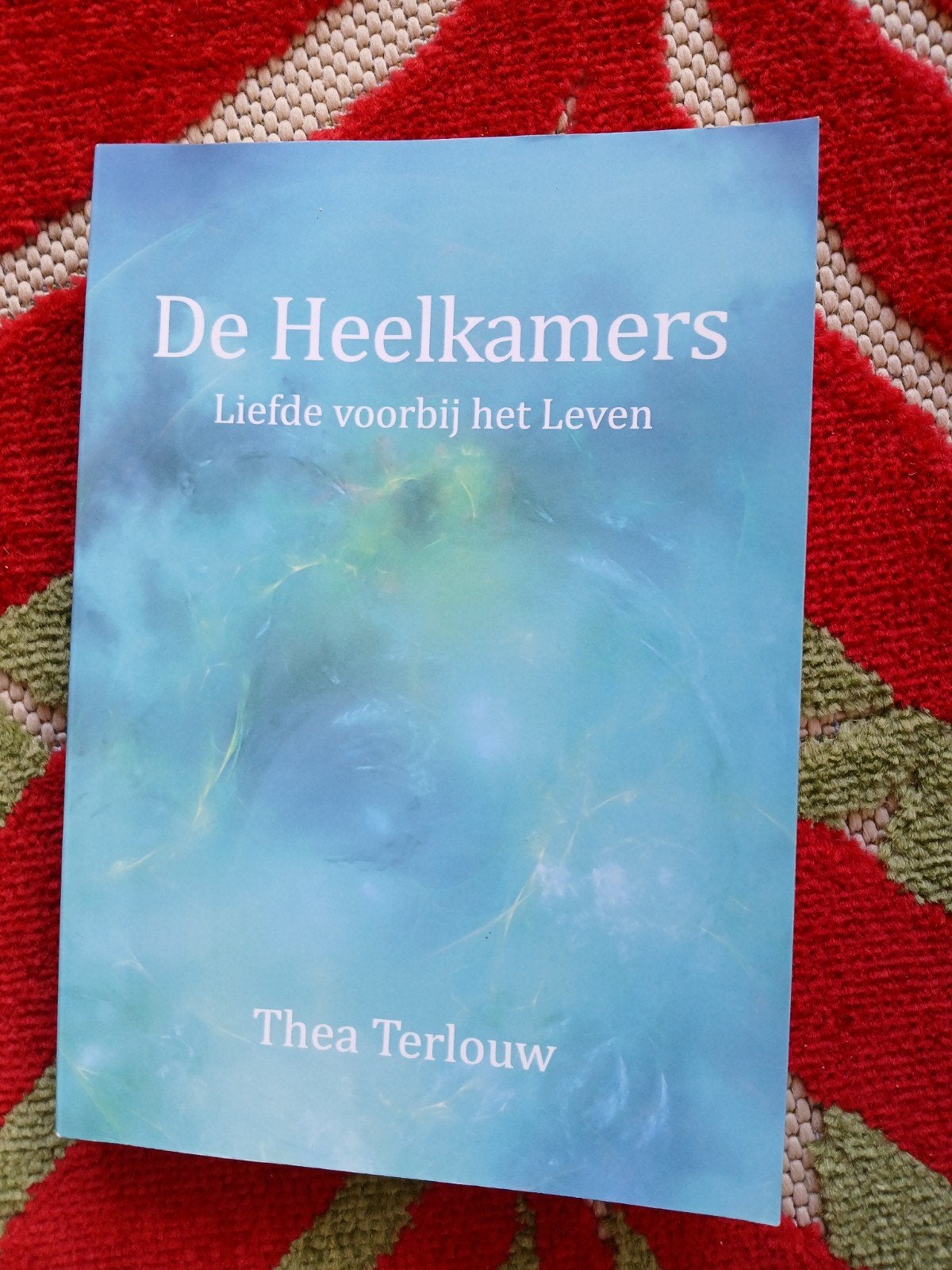De Heelkamers - Liefde voorbij het Leven Terlouw VASTE PRIJS, Boeken, Ophalen of Verzenden, Zo goed als nieuw, Thea Terlouw, Nederland