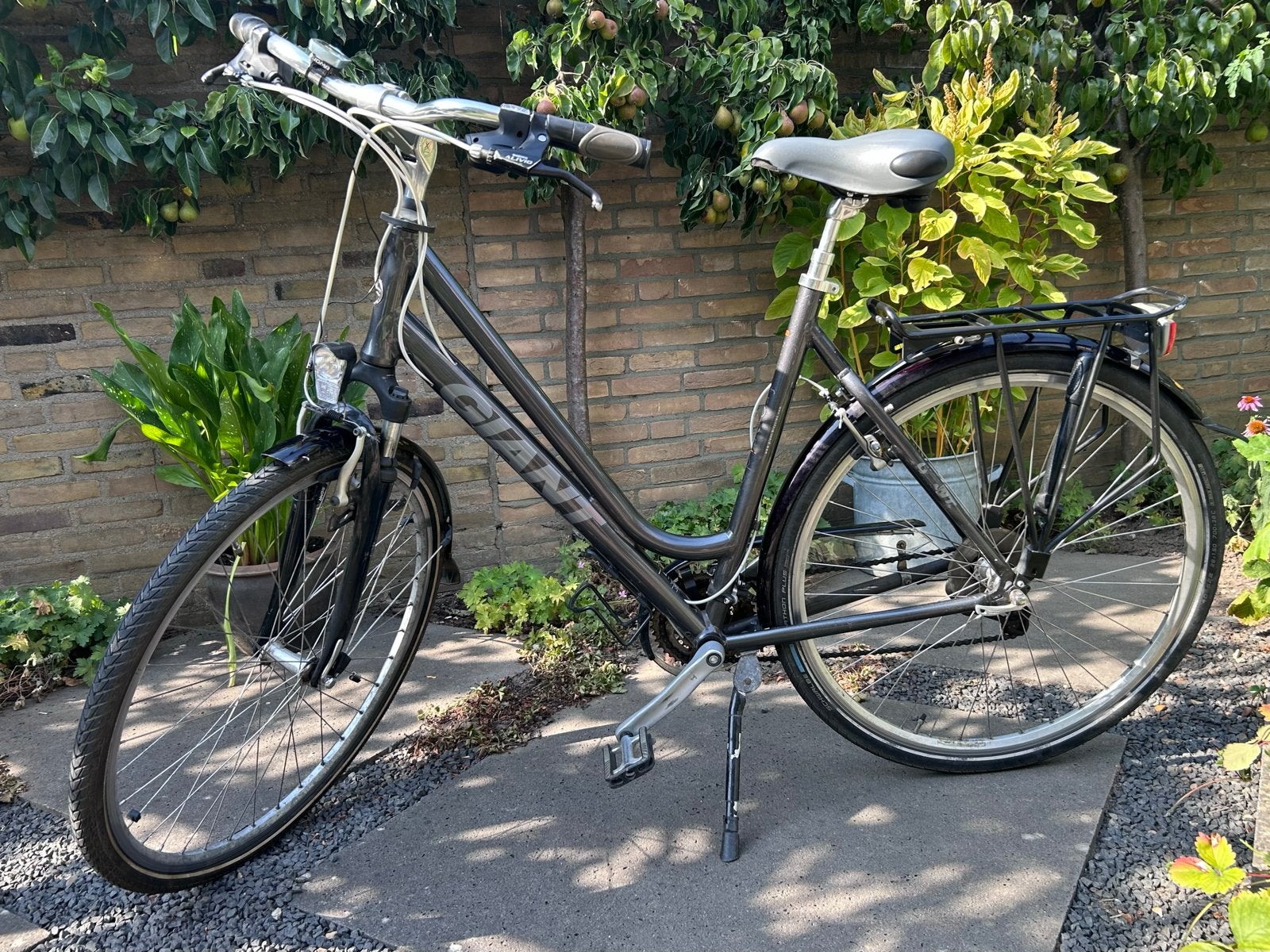 Giant damesfiets met 24 versnellingen, framemaat L, Ophalen, 28 inch, Gebruikt, Meer dan 20 versnellingen