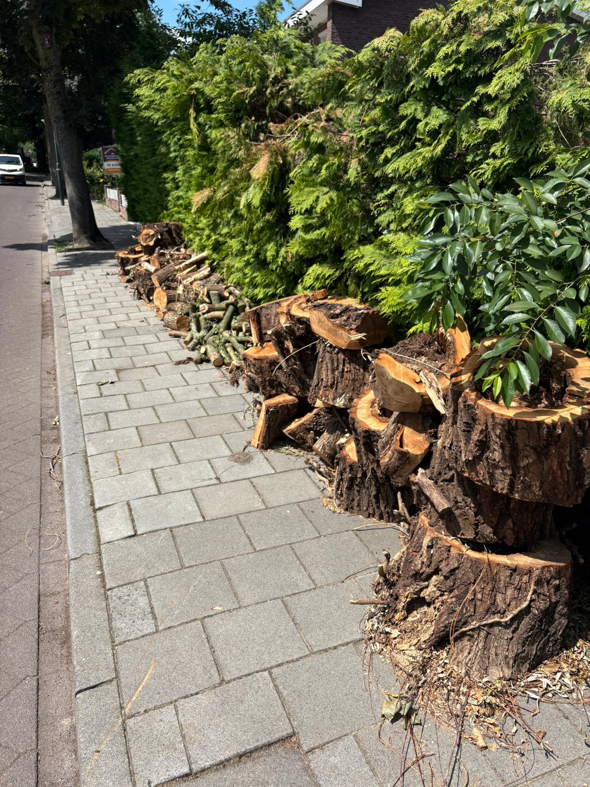 Haardhout stookhout 1.5/2 kuub, Tuin en Terras, Haardhout, Minder dan 3 m³, Ophalen