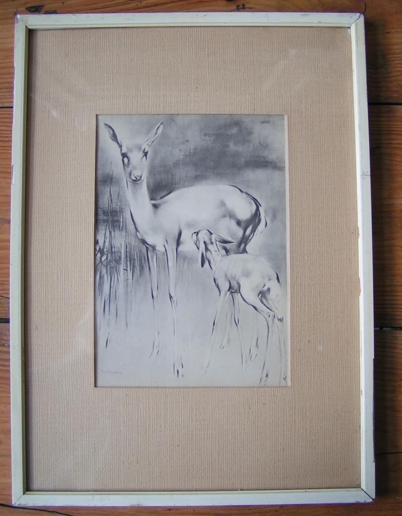 ingelijste prent "herten" nr YY 758, Verzenden, Voor 1940, Gebruikt, Overige onderwerpen