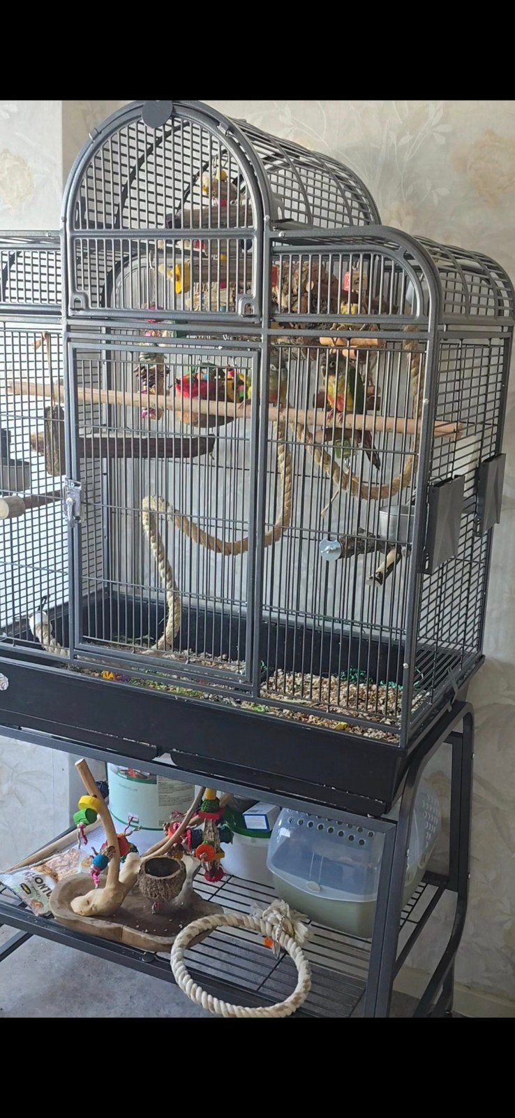 grote nette vogelkooi, Dieren en Toebehoren, Ophalen, Zo goed als nieuw, Metaal, Vogelkooi