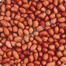 19kg gepelde pinda's incl. verzending, Dieren en Toebehoren, Nieuw, Ophalen of Verzenden, Nvt, Eten en Drinken