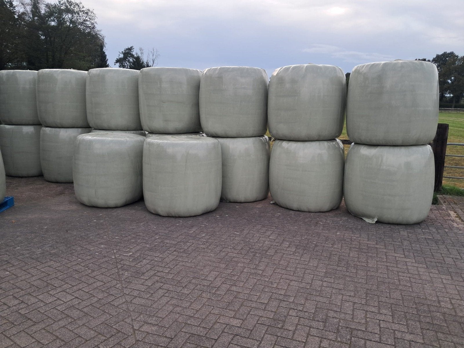 plastic balen ( bijna ) hooi , derde snee €55 per baal., Ophalen of Verzenden, Vee