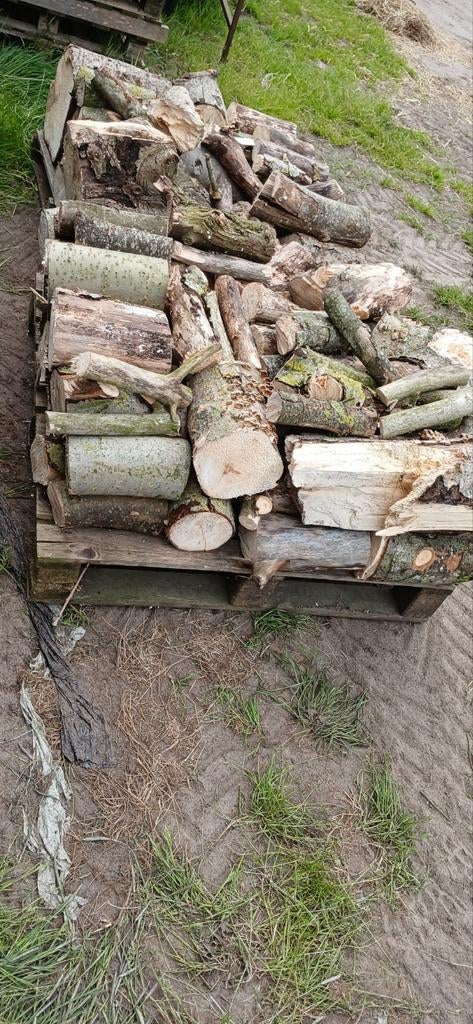 Haardhout, Tuin en Terras, Haardhout, Minder dan 3 m³, Ophalen