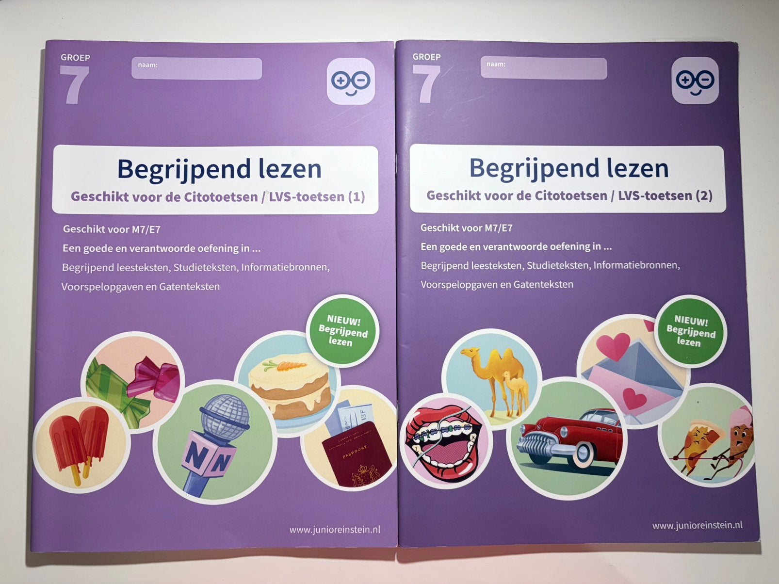 Begrijpend Lezen groep 7, Ophalen of Verzenden, Gelezen, Overige niveaus, Nederlands