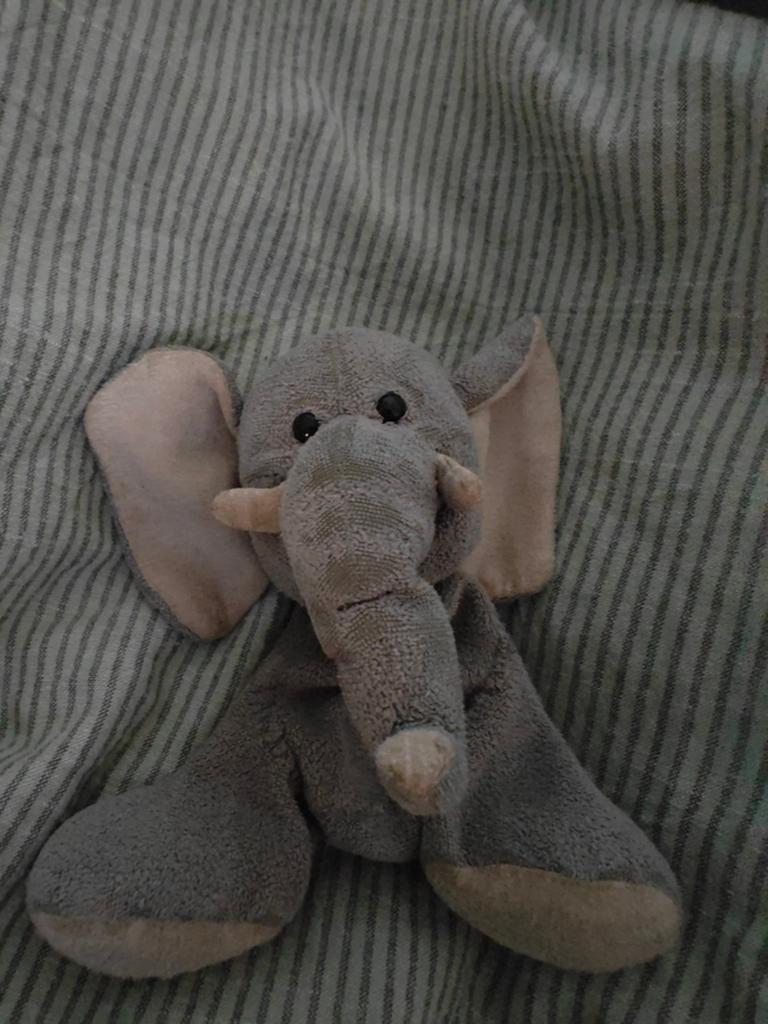 Gezocht! Olifanten knuffel, Ophalen of Verzenden, Grijs, Olifant, Klein (minder dan 20 cm)