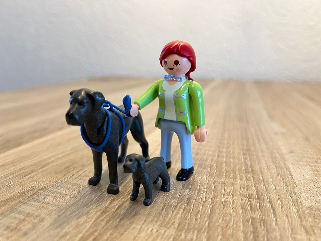 PLAYMOBIL Hond en puppy uitlaten 5210, Ophalen, Complete set, Overige typen, Zo goed als nieuw