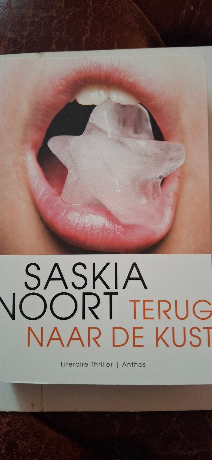 Saskia Noort - Terug naar de kust (Literaire thriller), Ophalen of Verzenden, Zo goed als nieuw