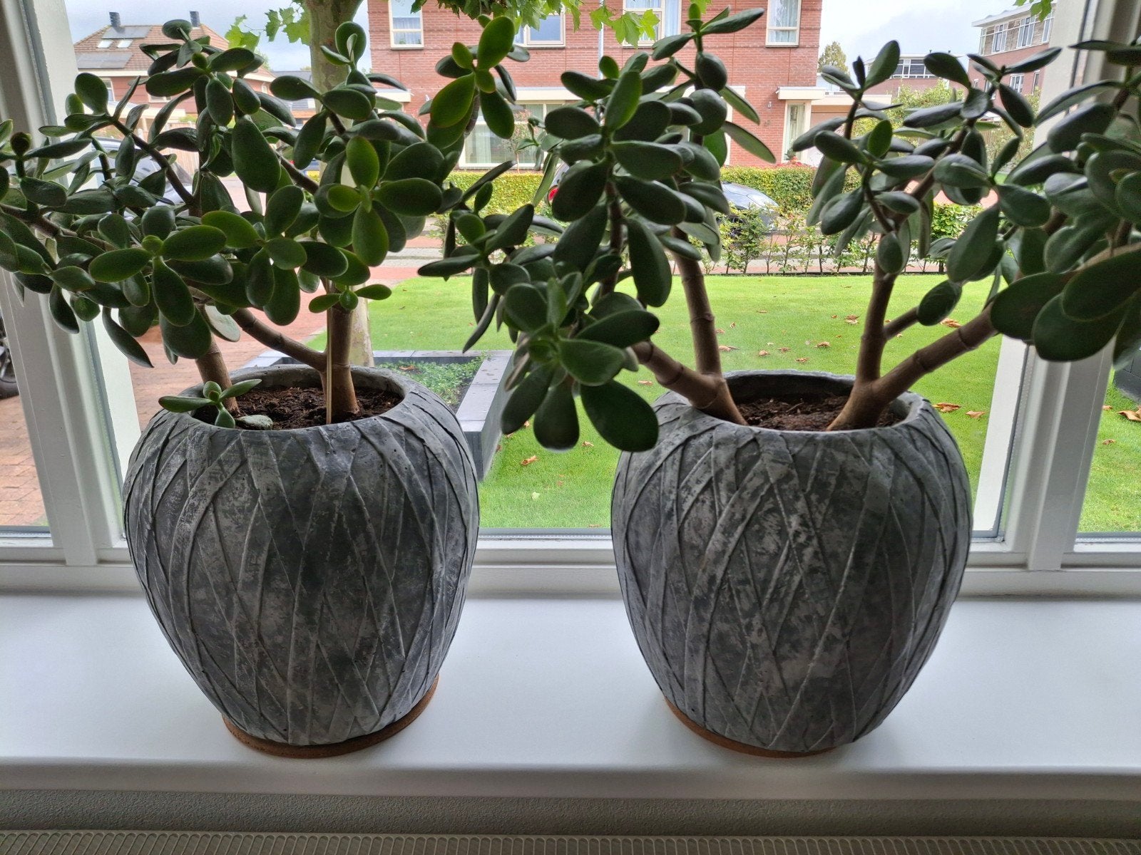 Stijlvolle landelijke bloempot van beton met uniek vlechtpat, Tuin en Terras, Ophalen, Gebruikt, Rond, Binnen