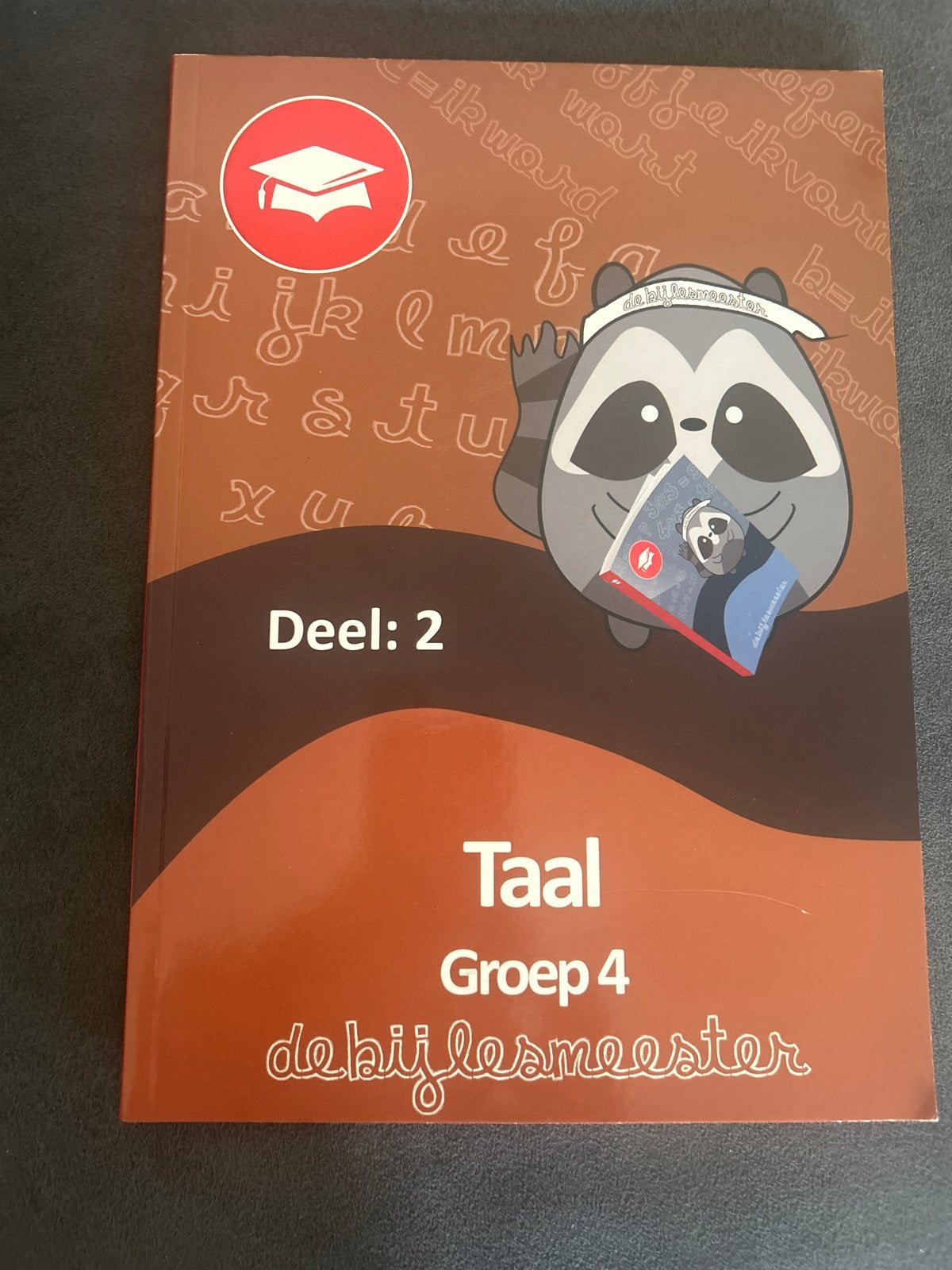 Taal Groep 4 Deel 2 - De Bijlesmeester, Ophalen of Verzenden, Alpha, Zo goed als nieuw, LBO
