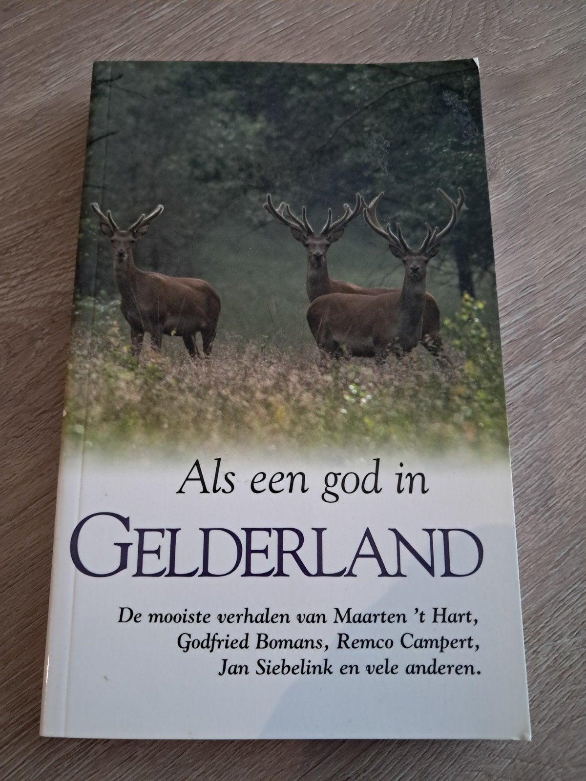 E8 Als een god in Gelderland - Verhalenbundel, Ophalen of Verzenden, Gelezen, Maarten 't Hart, Godfried Bomans, Remco Campert, Jan Siebelink