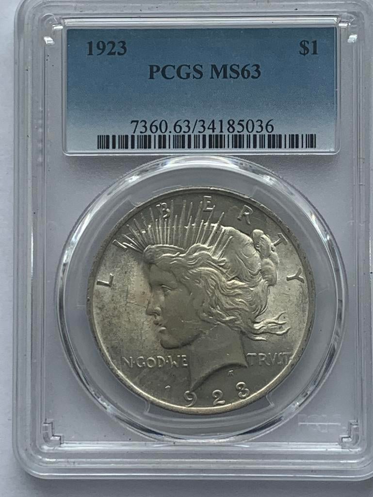 Zilveren peace dollar in slab gecertificeerd ms63 uit 1923, Ophalen of Verzenden, Noord-Amerika