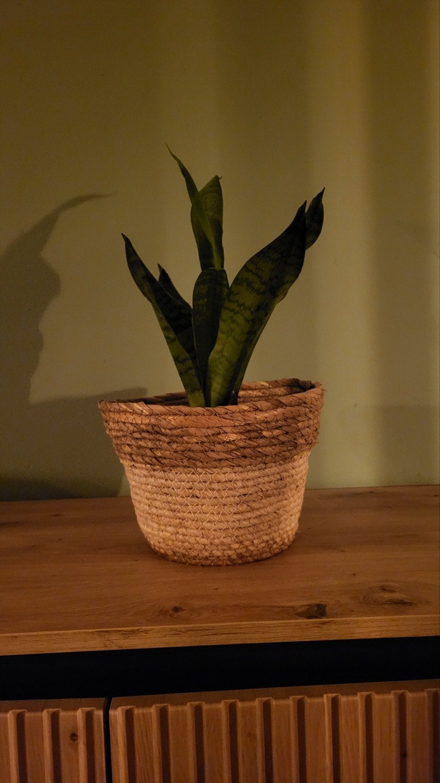 Bloempot/ mandje, Ophalen, Rond, Aardewerk, Minder dan 40 cm