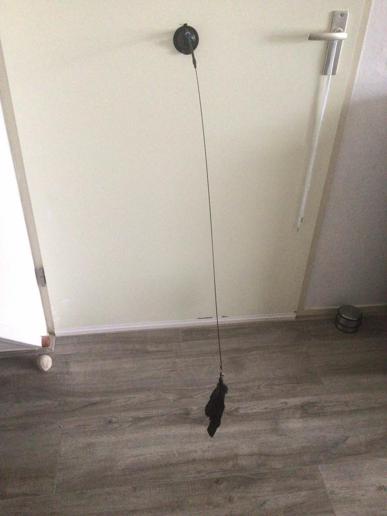 Katten speeltje met zuignap, Ophalen, Zo goed als nieuw