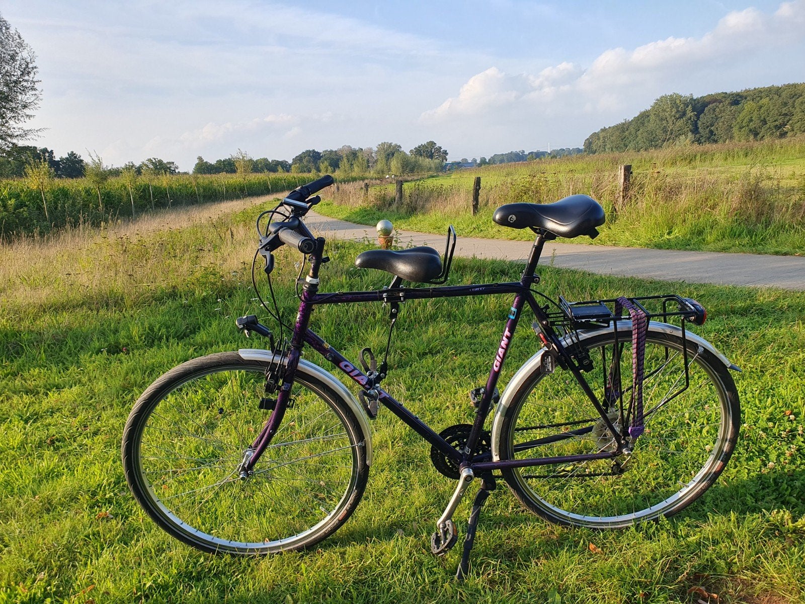 Giant retro vintage stalen frame herenfiets, Fietsen en Brommers, Fietsen | Heren | Herenfietsen, Gebruikt, Velgrem, Versnellingen