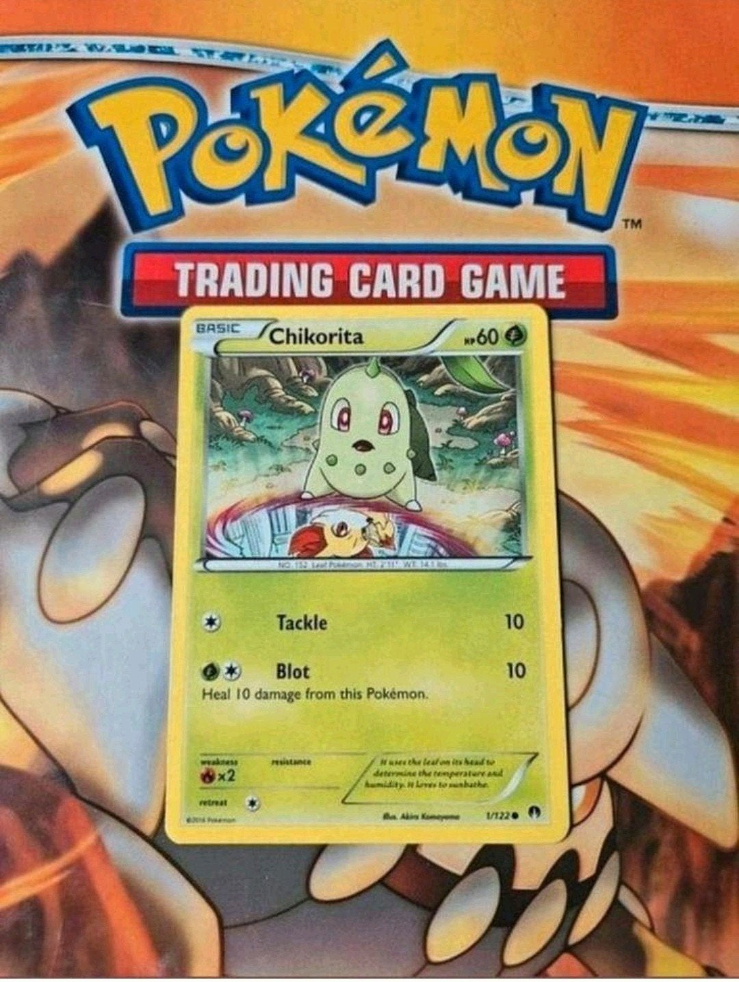 Chikorita 1/122 XY BREAKpoint pokemon kaart, Ophalen of Verzenden, Gebruikt, Losse kaart