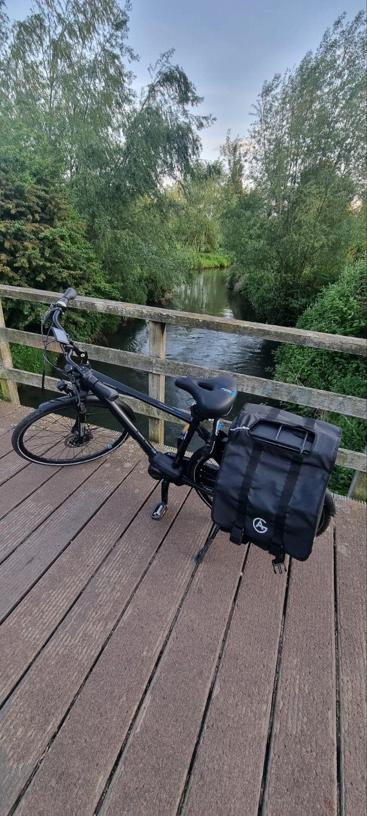 Elektrische fiets Gaint entour, Ophalen, Gebruikt, Giant, 51 tot 55 cm