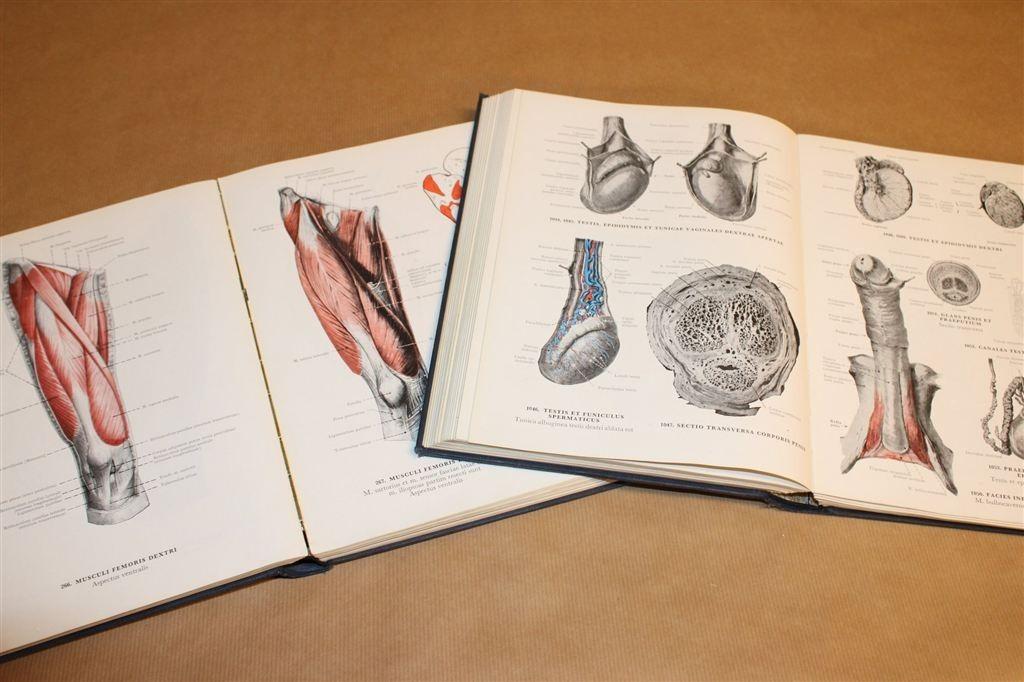 Handatlas Anatomie des Menschen [2 Delen] [1953-54], Ophalen of Verzenden, Gelezen, Natuurwetenschap