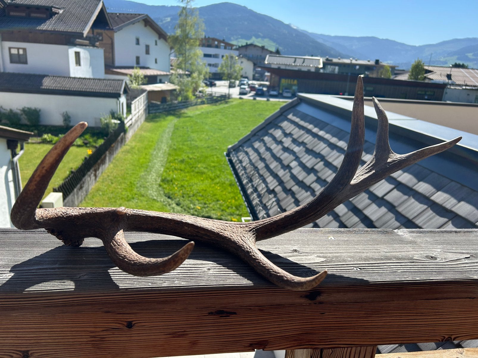 Prachtig hertengewei Oostenrijk-Tirol, Ophalen of Verzenden, Nieuw, Bruin, Overige materialen