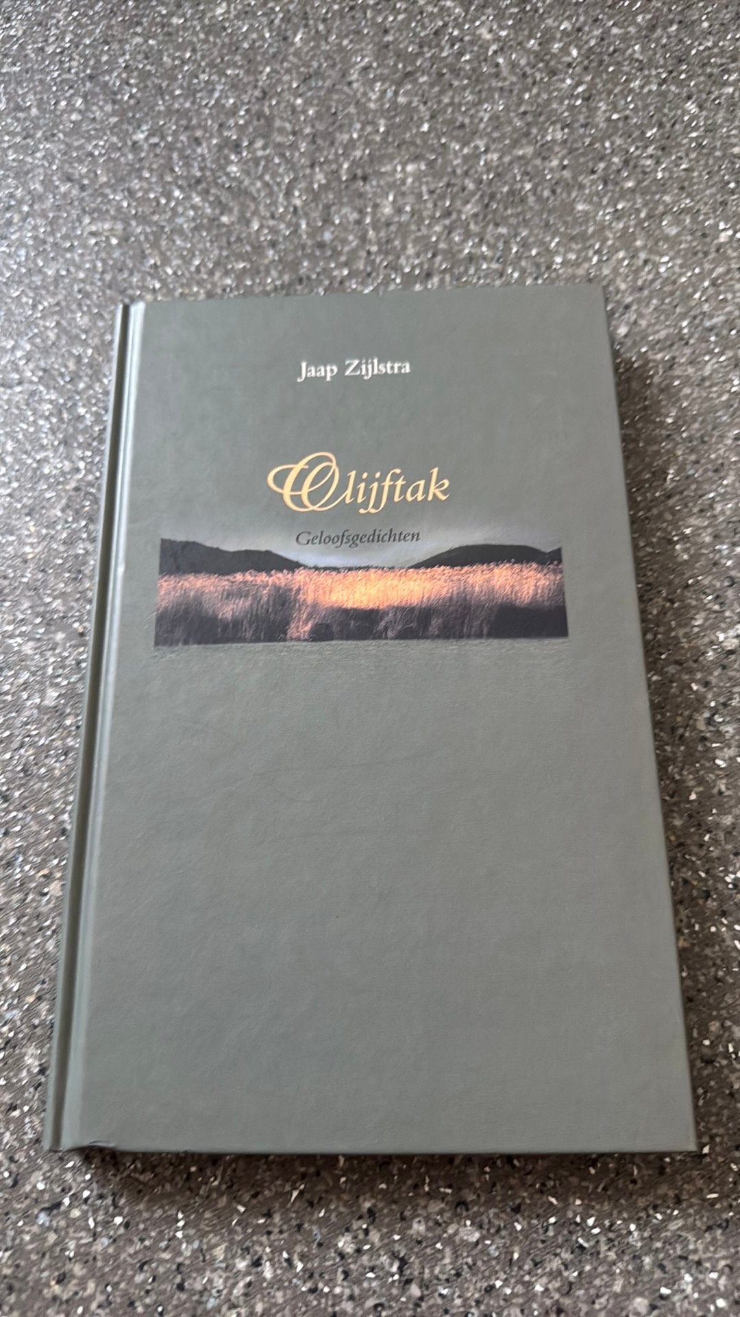 Jaap Zijlstra - Olijftak, Ophalen of Verzenden, Zo goed als nieuw, Jaap Zijlstra