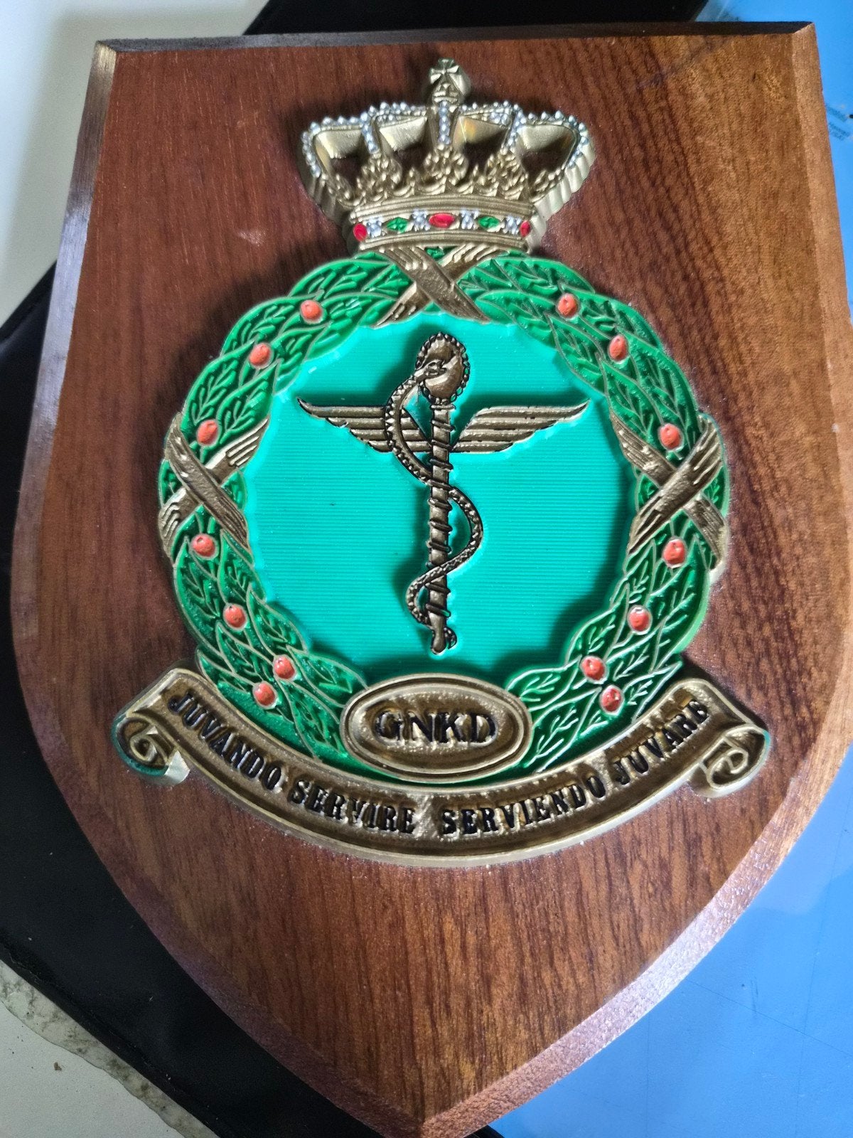 Geneeskundige  dienst, Ophalen of Verzenden, Luchtmacht, Nederland, Embleem of Badge