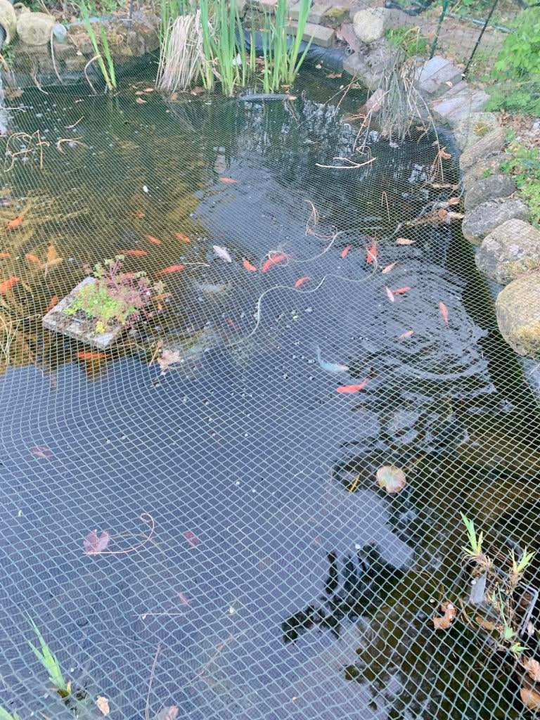 Vijver goudvissen gereserveerd, Tuin en Terras, Ophalen of Verzenden, Zo goed als nieuw