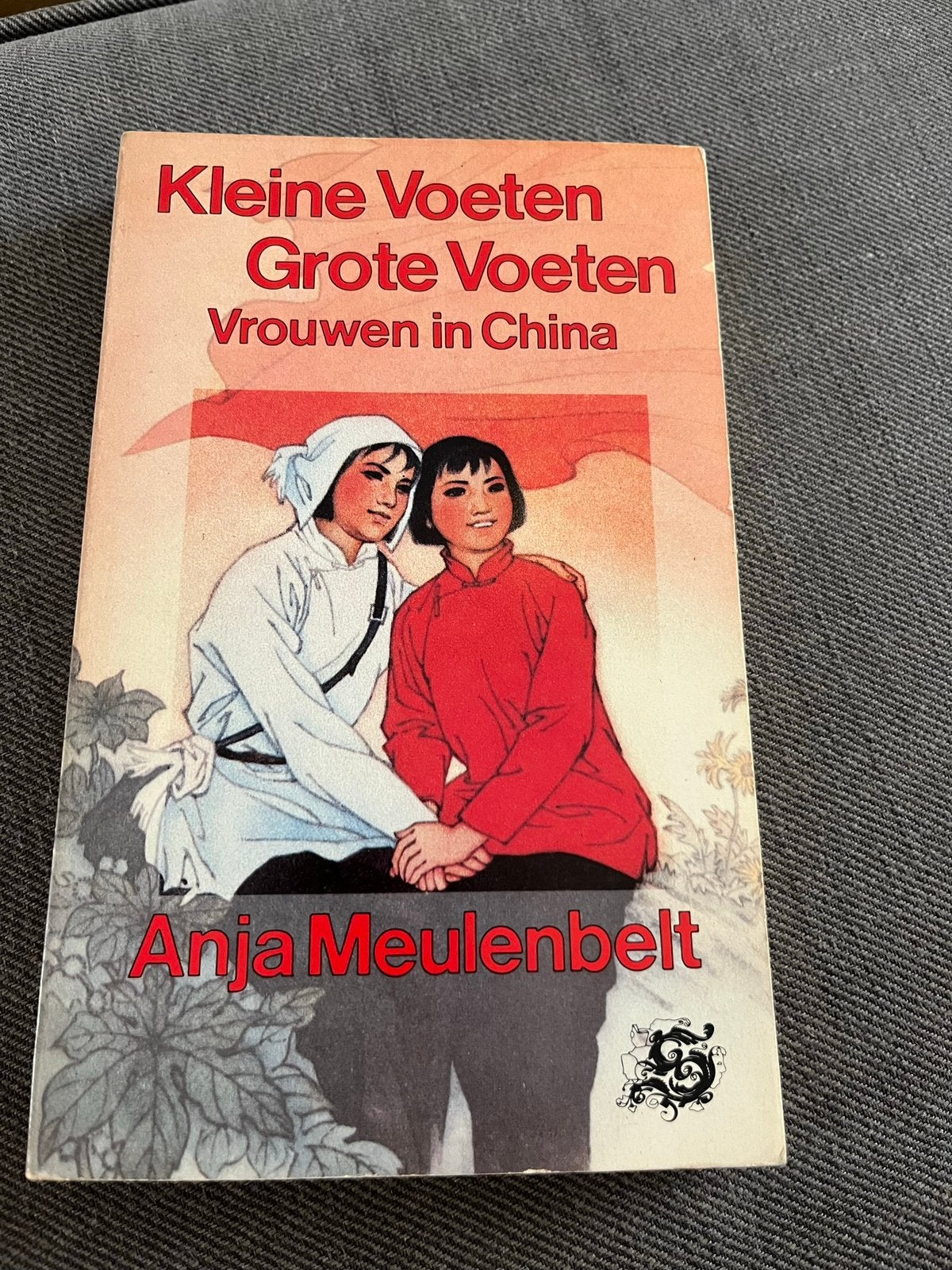 Kleine voeten grote voeten, Boeken, Ophalen of Verzenden, Zo goed als nieuw, Azië