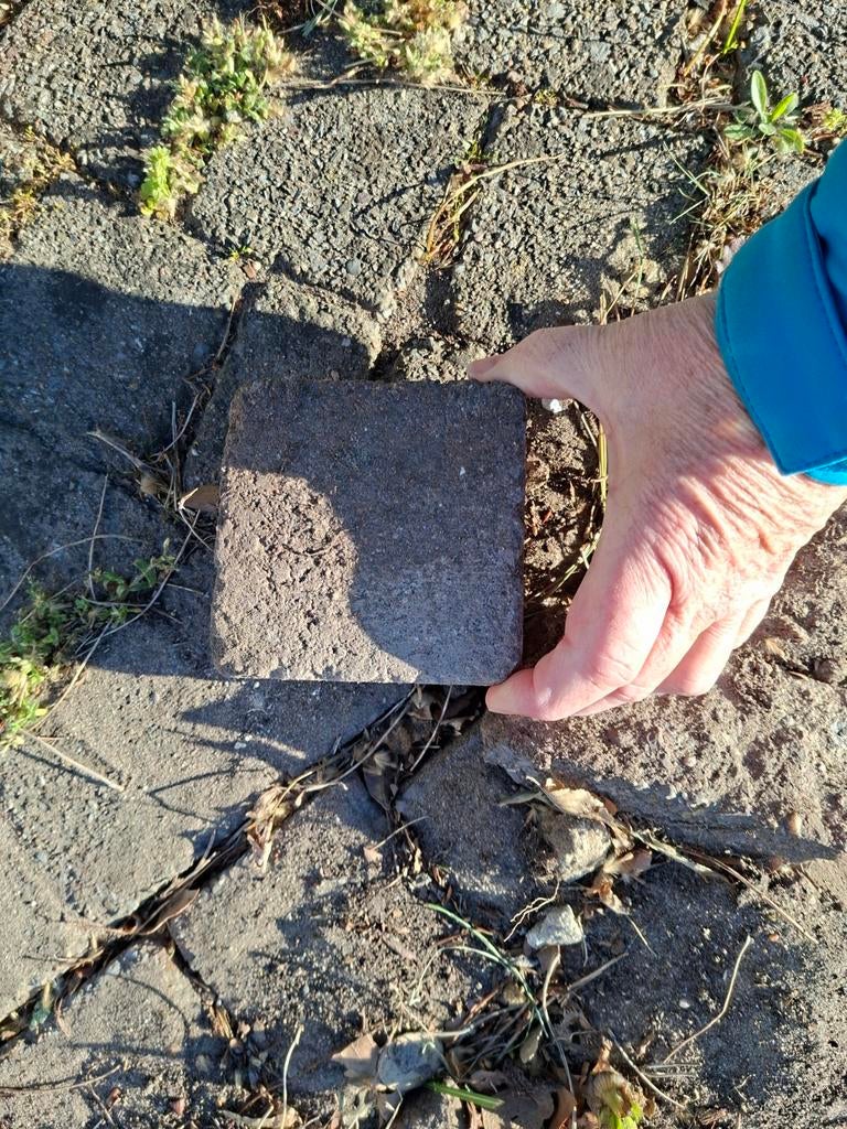 Gebruikte betonnen klinkers  gratis afhalen in  Oss, Ophalen, Gebruikt, Klinkers, 10 m² of meer