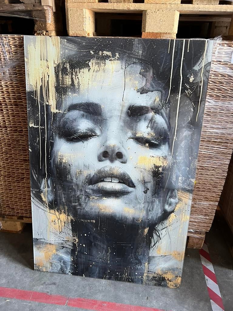 Glasschilderij op frame schade €25,/, Ophalen, Zo goed als nieuw, Schilderij, 75 cm of meer
