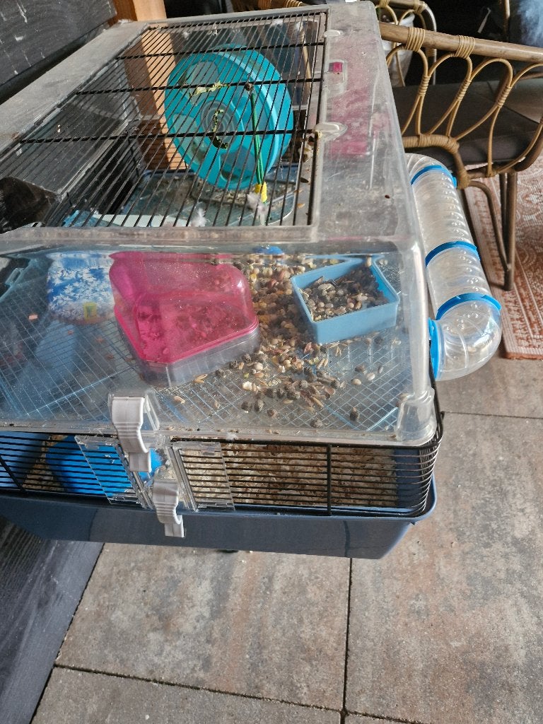 Hamsterkooi, Dieren en Toebehoren, Kooi, Gebruikt, Hamster, 75 tot 110 cm