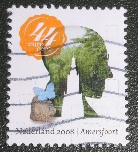 Mooi Nederland - 2569A - 2008 - Amersfoort - PNe01-11, Postzegels en Munten, Verzenden, Na 1940, Gestempeld