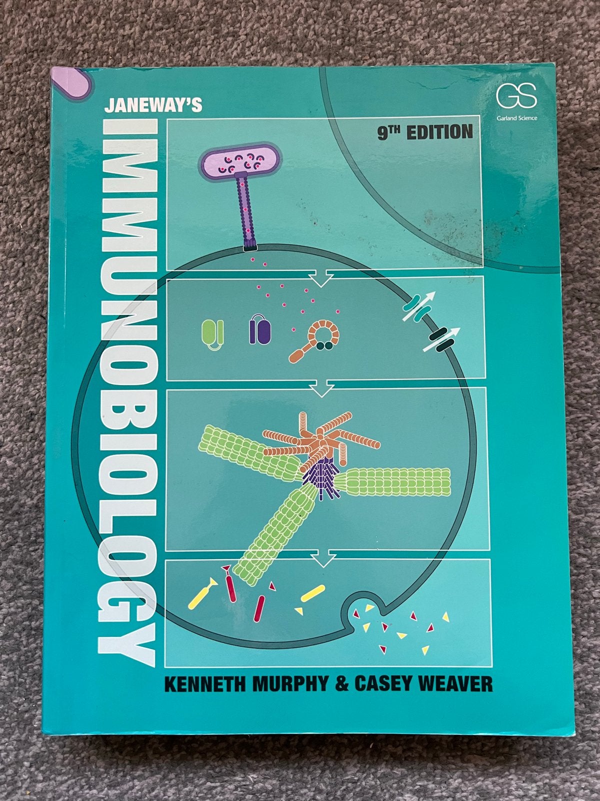 Janeway's Immunobiology 9e editie - Kenneth Murphy, Ophalen, Beta, Gelezen, WO