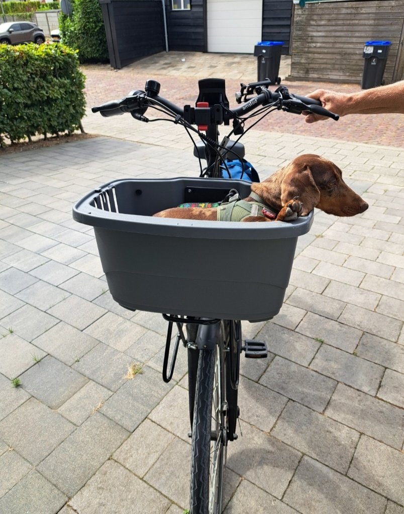 Hondenfietsmand Ferplast Atlas 20, Ophalen, Zo goed als nieuw