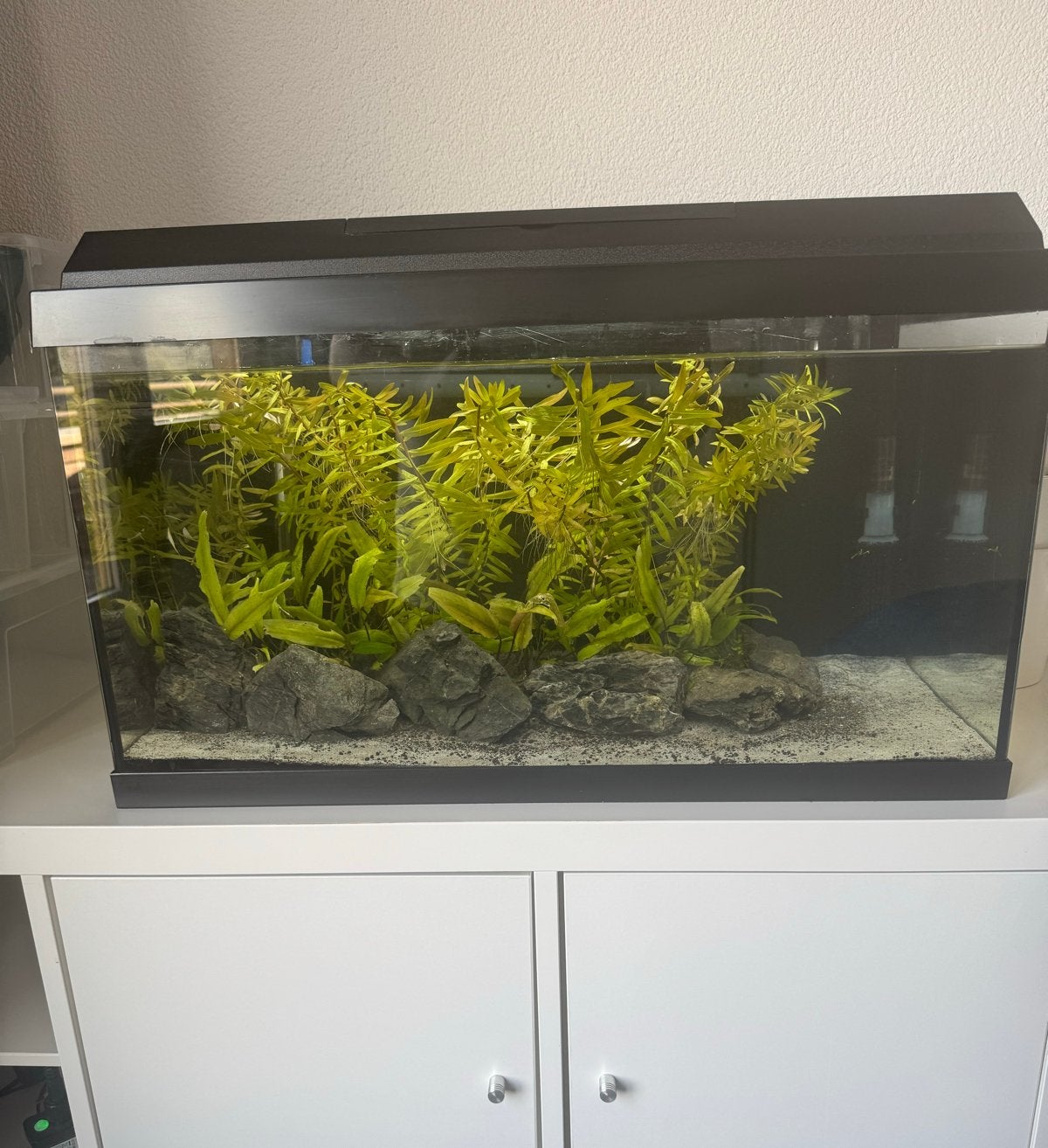 Juwel Primo 60 + externe filter, Dieren en Toebehoren, Ophalen, Gebruikt, Gevuld zoetwateraquarium, Inclusief deksel