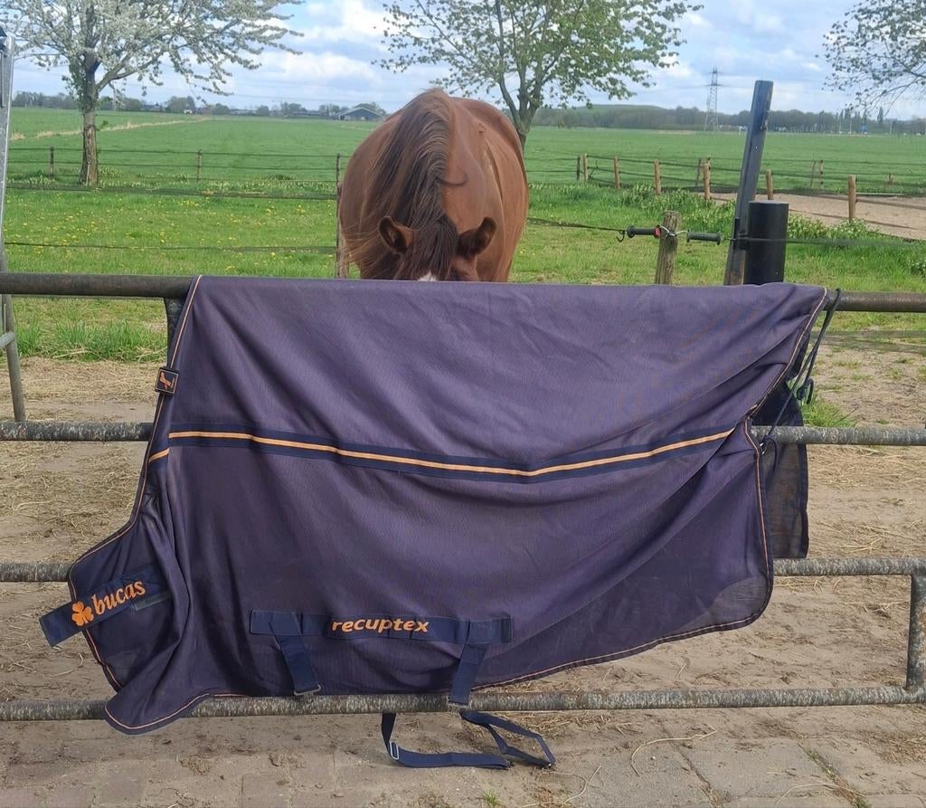 Bucas Recuptex Light maat 6'0", Dieren en Toebehoren, Paarden en Pony's | Dekens en Dekjes, Ophalen of Verzenden, Zo goed als nieuw