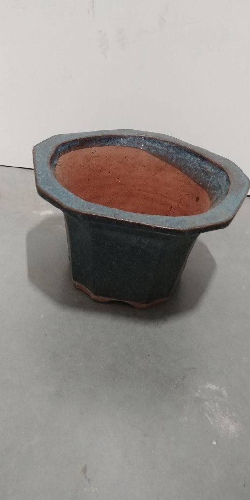 Grote Bonsai pot, 25 tot 40 cm, Gebruikt, Ophalen of Verzenden, Minder dan 40 cm