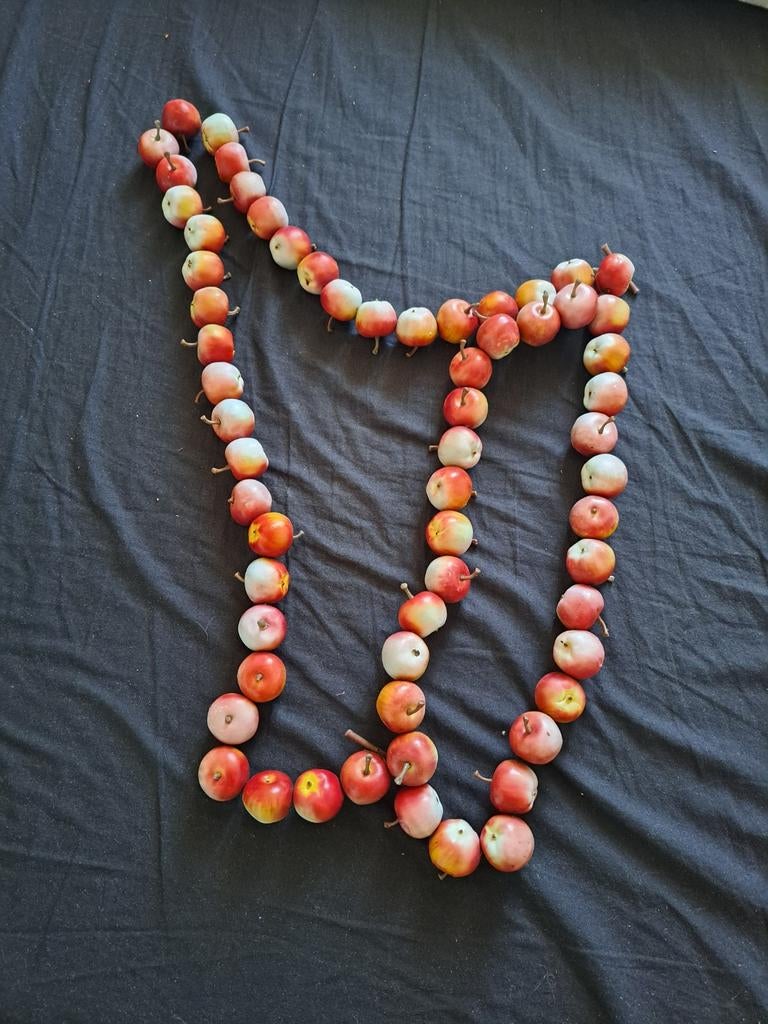 Decoratieve mini-appelslinger, Huis en Inrichting, Woonaccessoires | Overige, Ophalen of Verzenden, Nieuw, Meerkleurig, Kunststof