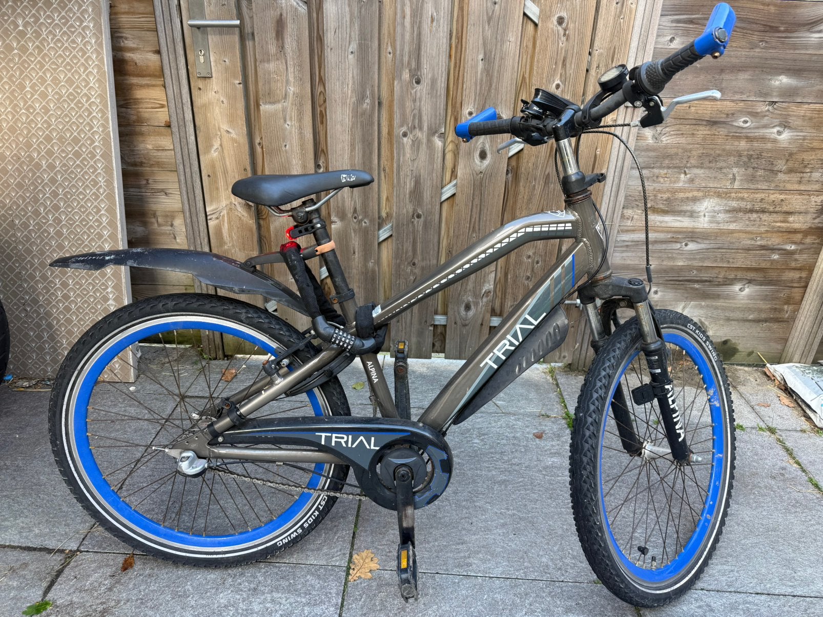 Alpina trial 24 inch 3 versnellingen, Ophalen, Velgrem, Versnellingen, Gebruikt