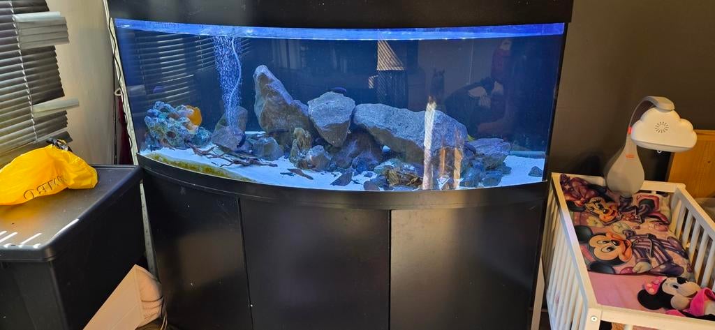 Juwel vision 450 krasvrij, Dieren en Toebehoren, Vissen | Aquaria en Toebehoren, Ophalen, Leeg aquarium