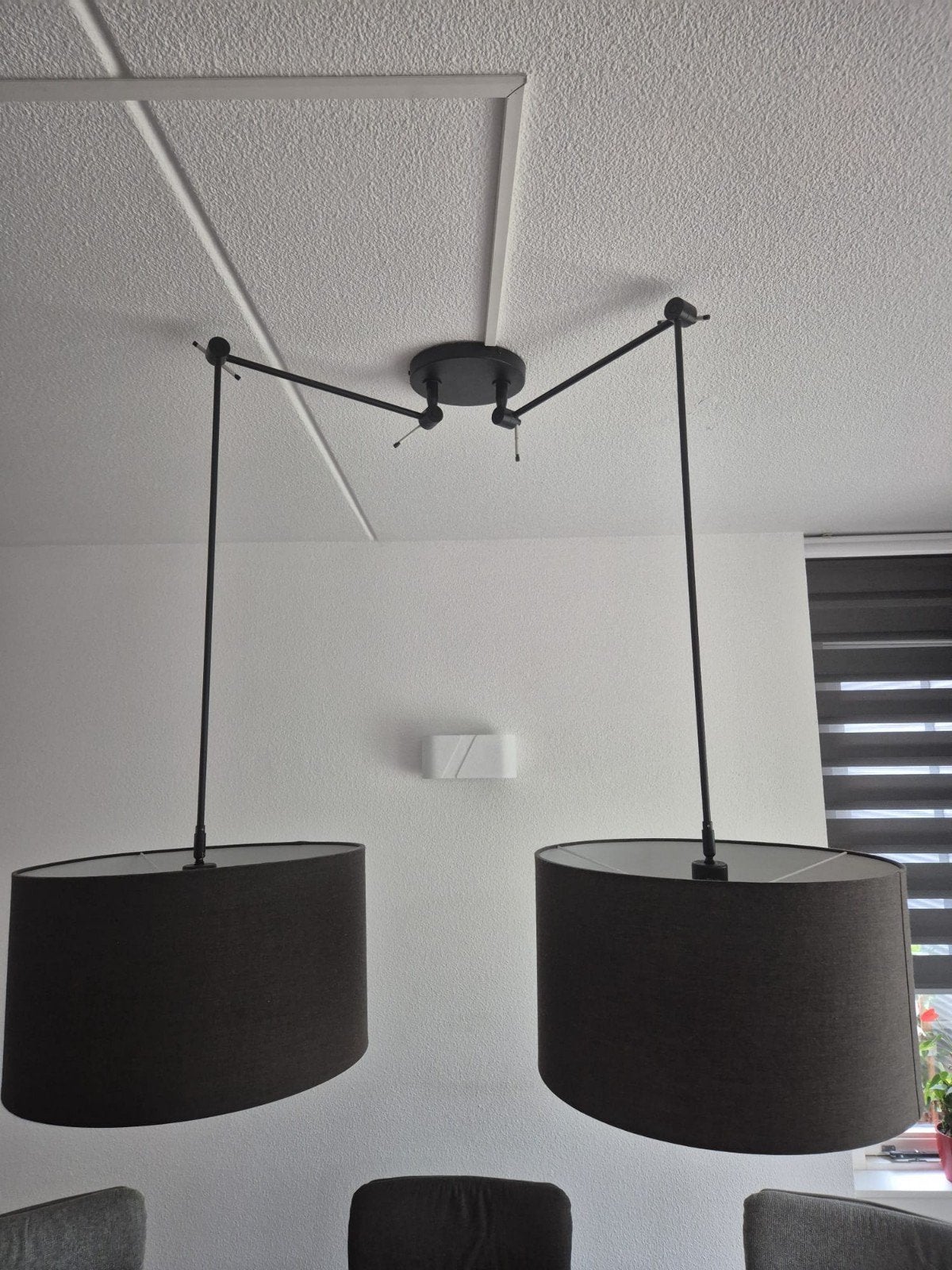 Moderne in hoogte verstelbare hanglampen, set van 2, Ophalen